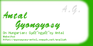 antal gyongyosy business card